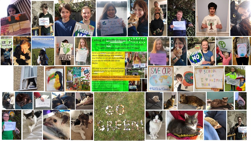 We are taking the Schools’ Strike for Climate Action&nbsp;Online
